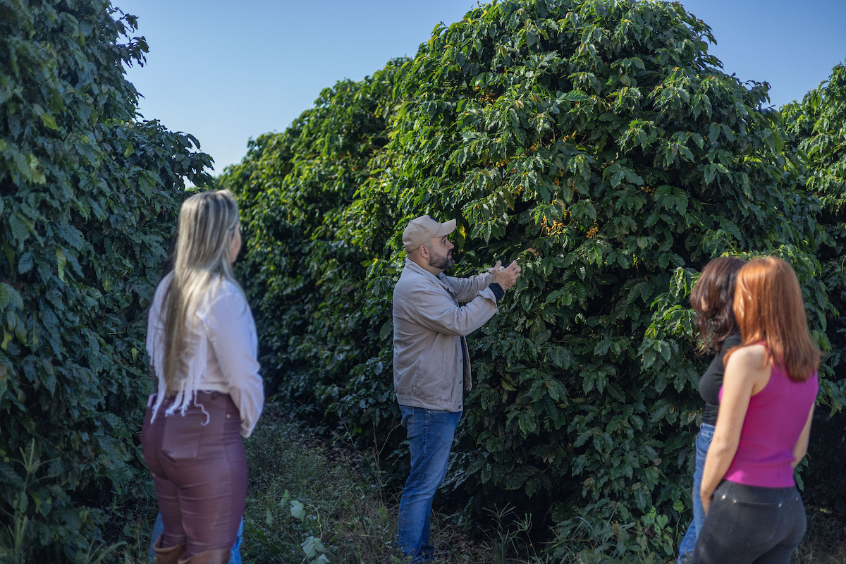 Visitantes conhecendo os cafezais da Fazenda Cariama