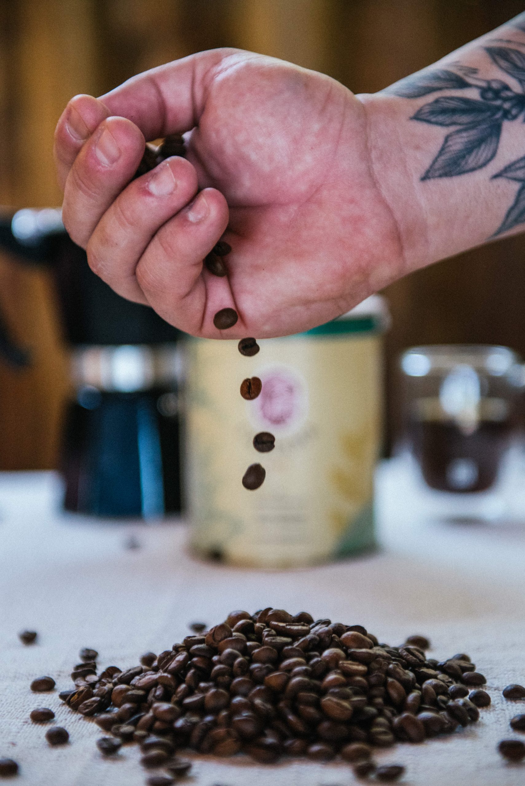 Gr&atilde;os de caf&eacute; selecionados para o preparo