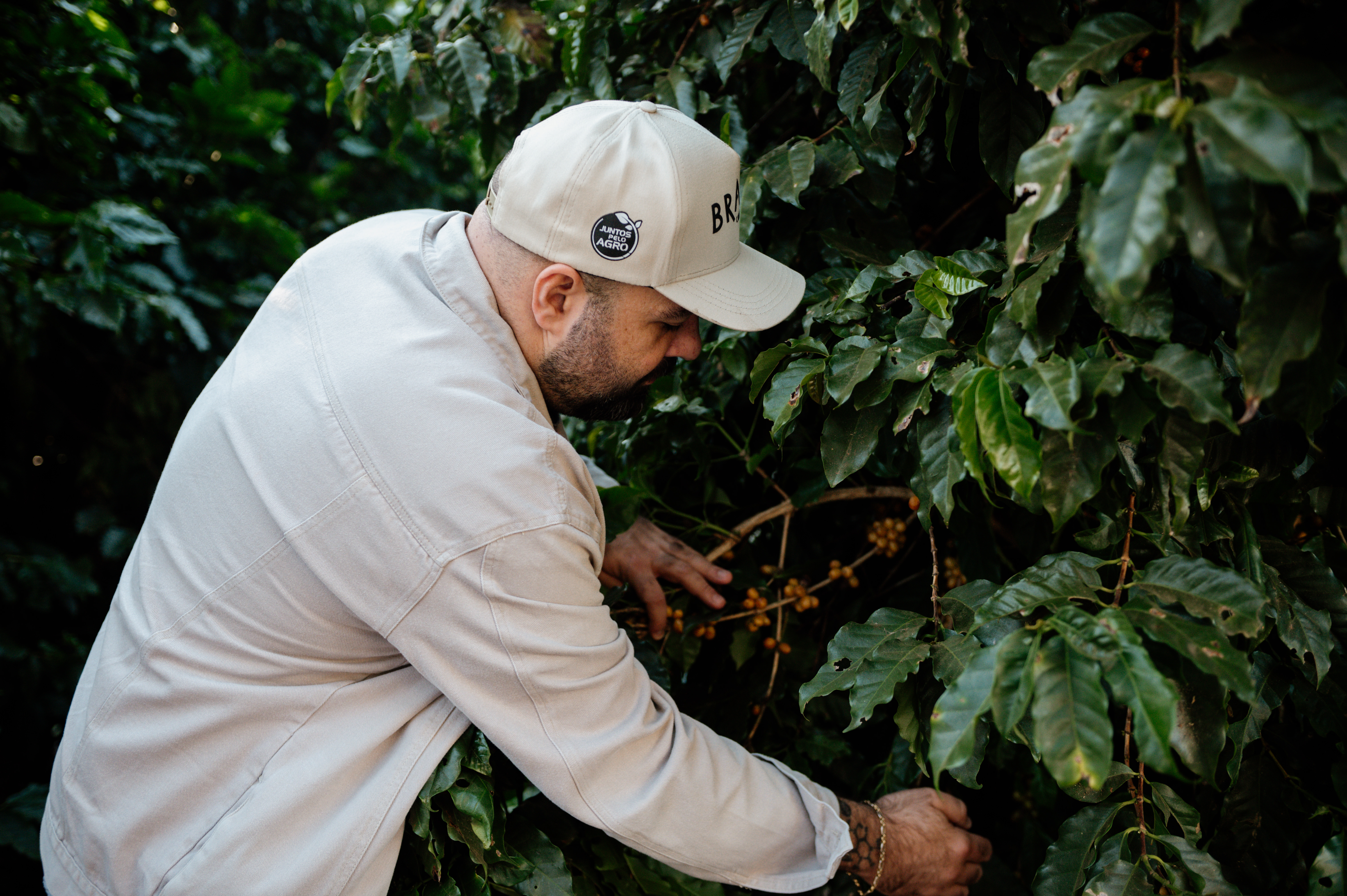 Cafeicultura Cariama na Serra da Canastra