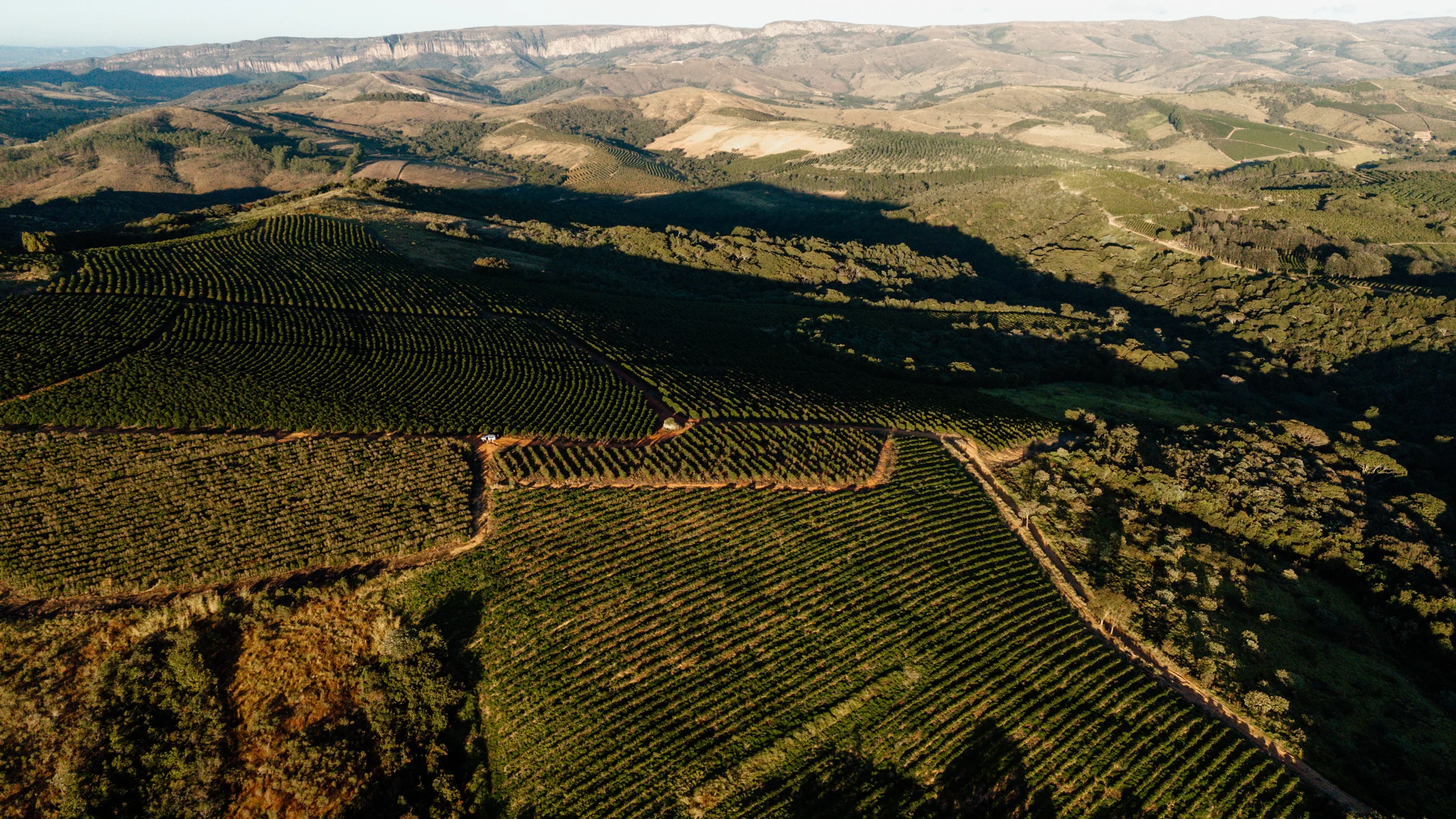 Vista a&eacute;rea dos cafezais Cariama entre as montanhas da Serra da Canastra
