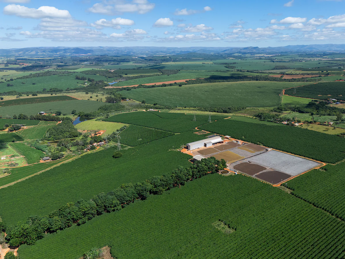 Aerial view of the Grupo Cariama coffee fields