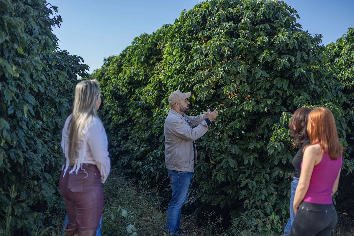 Visitntes conhecendo os cafeeiros da Cariama Farm